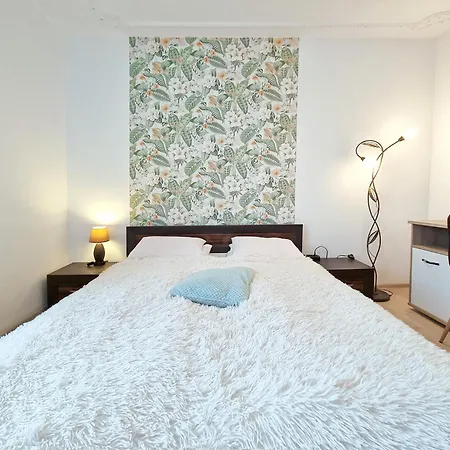 Classy - - Chylonska *